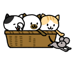 Cats in a various things sticker #8320823