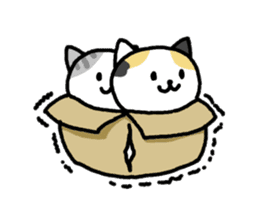 Cats in a various things sticker #8320825