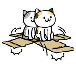 Cats in a various things sticker #8320826