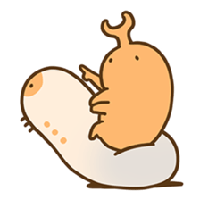 A SHORTER LIFE OF BEETLES  [ EN ] sticker #8325783