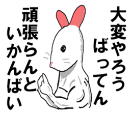 rabbit HAKATA sticker #8329051