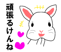 rabbit HAKATA sticker #8329057