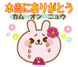 There is the peach rabbit in Vietnam. sticker #8329071