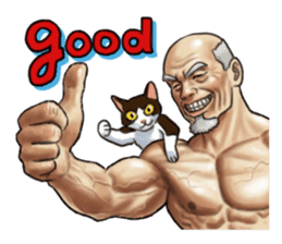 old men and cats and a few macho men. sticker #8329298