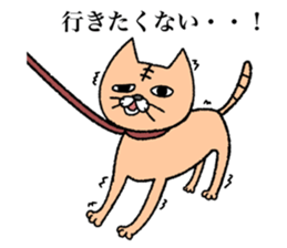 Strange USANEKO sticker #8329885