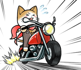 Cat Rider sticker #8329954