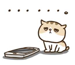 adorably ugly cat. sticker #8331206