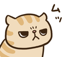 adorably ugly cat. sticker #8331212