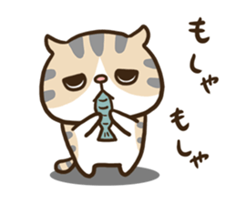 adorably ugly cat. sticker #8331224