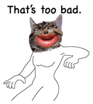 Weird face cat English version sticker #8331800