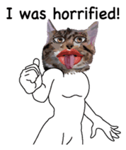 Weird face cat English version sticker #8331808