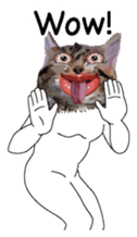 Weird face cat English version sticker #8331812