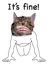 Weird face cat English version sticker #8331825