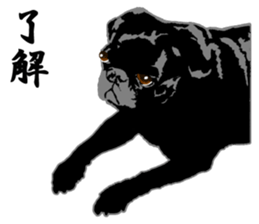 black pug stickers 2 sticker #8333549