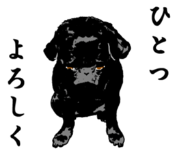 black pug stickers 2 sticker #8333550