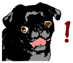 black pug stickers 2 sticker #8333555