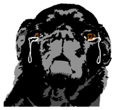 black pug stickers 2 sticker #8333556