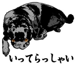 black pug stickers 2 sticker #8333560