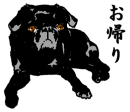 black pug stickers 2 sticker #8333561