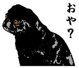 black pug stickers 2 sticker #8333562