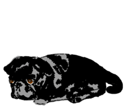 black pug stickers 2 sticker #8333567