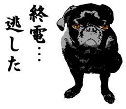 black pug stickers 2 sticker #8333570
