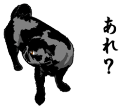 black pug stickers 2 sticker #8333571