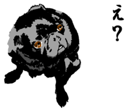 black pug stickers 2 sticker #8333572