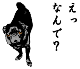 black pug stickers 2 sticker #8333573