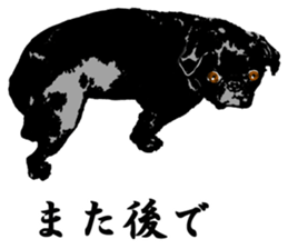 black pug stickers 2 sticker #8333574