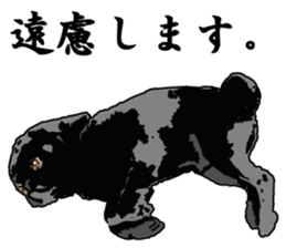 black pug stickers 2 sticker #8333576