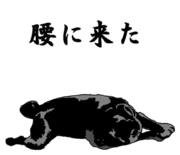 black pug stickers 2 sticker #8333577