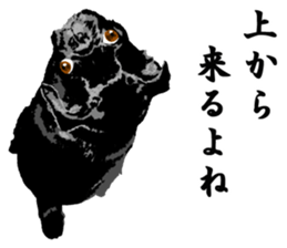 black pug stickers 2 sticker #8333578