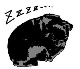 black pug stickers 2 sticker #8333581