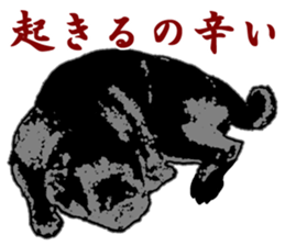 black pug stickers 2 sticker #8333582