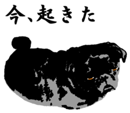 black pug stickers 2 sticker #8333583
