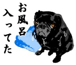 black pug stickers 2 sticker #8333585
