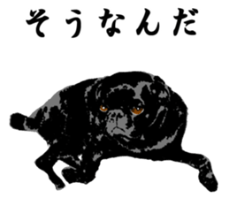 black pug stickers 2 sticker #8333586