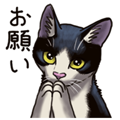 Cat sticker(black and white)