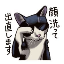 Cat sticker(black and white) sticker #8334233