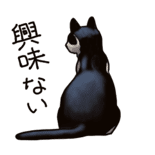 Cat sticker(black and white) sticker #8334234