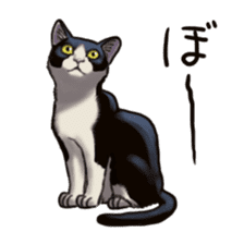 Cat sticker(black and white) sticker #8334248
