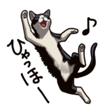 Cat sticker(black and white) sticker #8334252