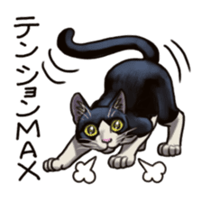 Cat sticker(black and white) sticker #8334254
