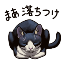 Cat sticker(black and white) sticker #8334255