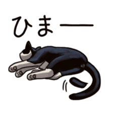 Cat sticker(black and white) sticker #8334257