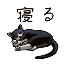 Cat sticker(black and white) sticker #8334258