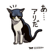 Cat sticker(black and white) sticker #8334264