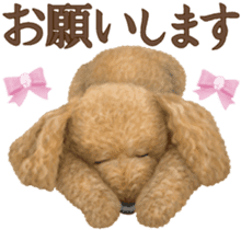 Toy Poodle & Toy Poodle 2 sticker #8335075