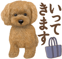 Toy Poodle & Toy Poodle 2 sticker #8335076